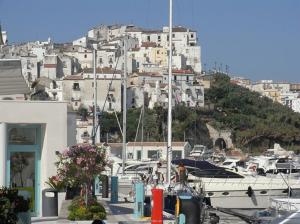 Rodi_05