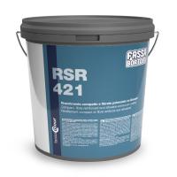 Silicone Resin System: RSR 421 - Paint System