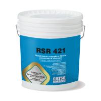 Silicone Resin System: RSR 421 - Paint System