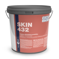 Silicone Resin System: SKIN 432 - Paint System
